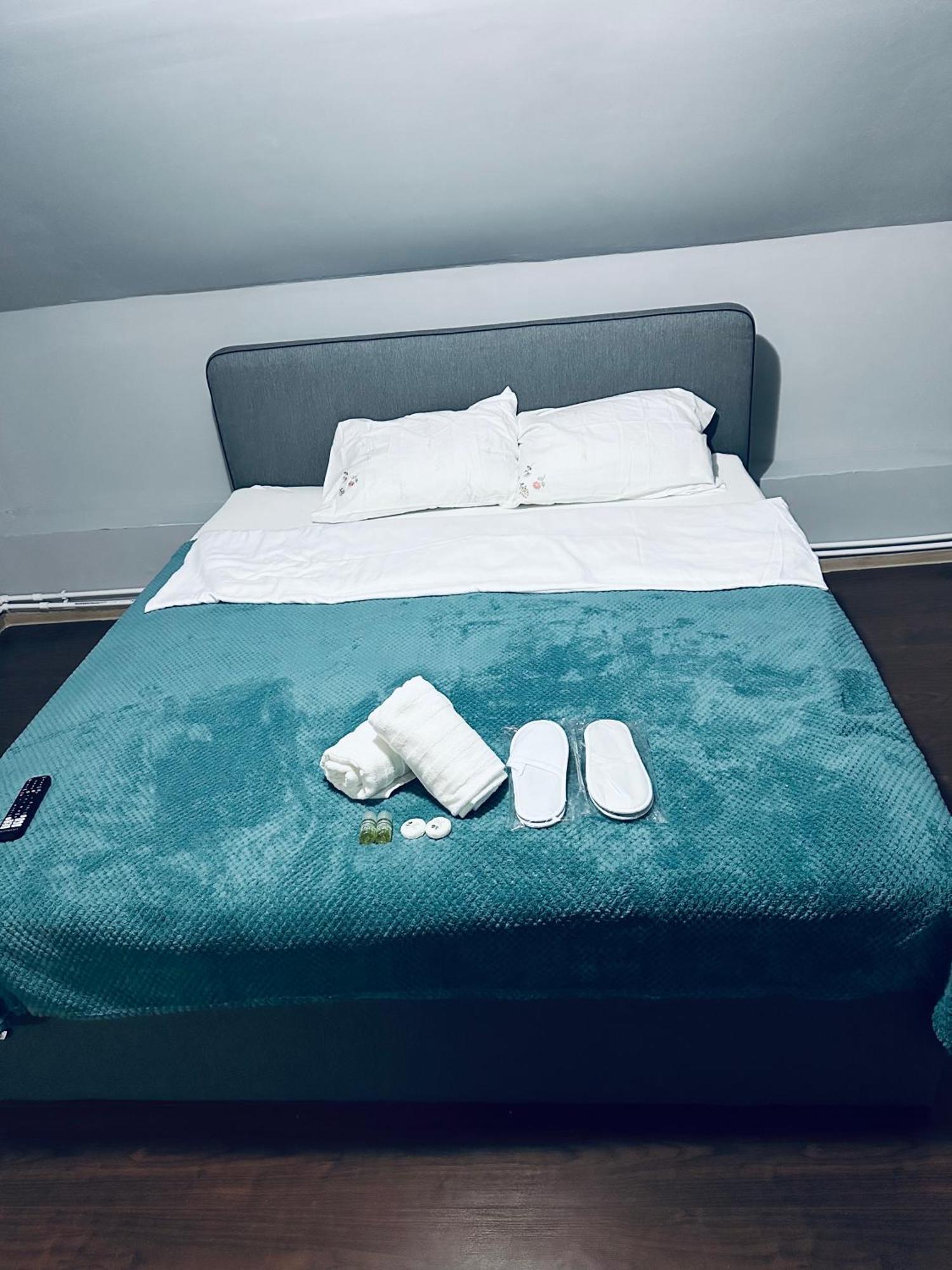 Serbian House Bed & Breakfast Temeşvar Dış mekan fotoğraf