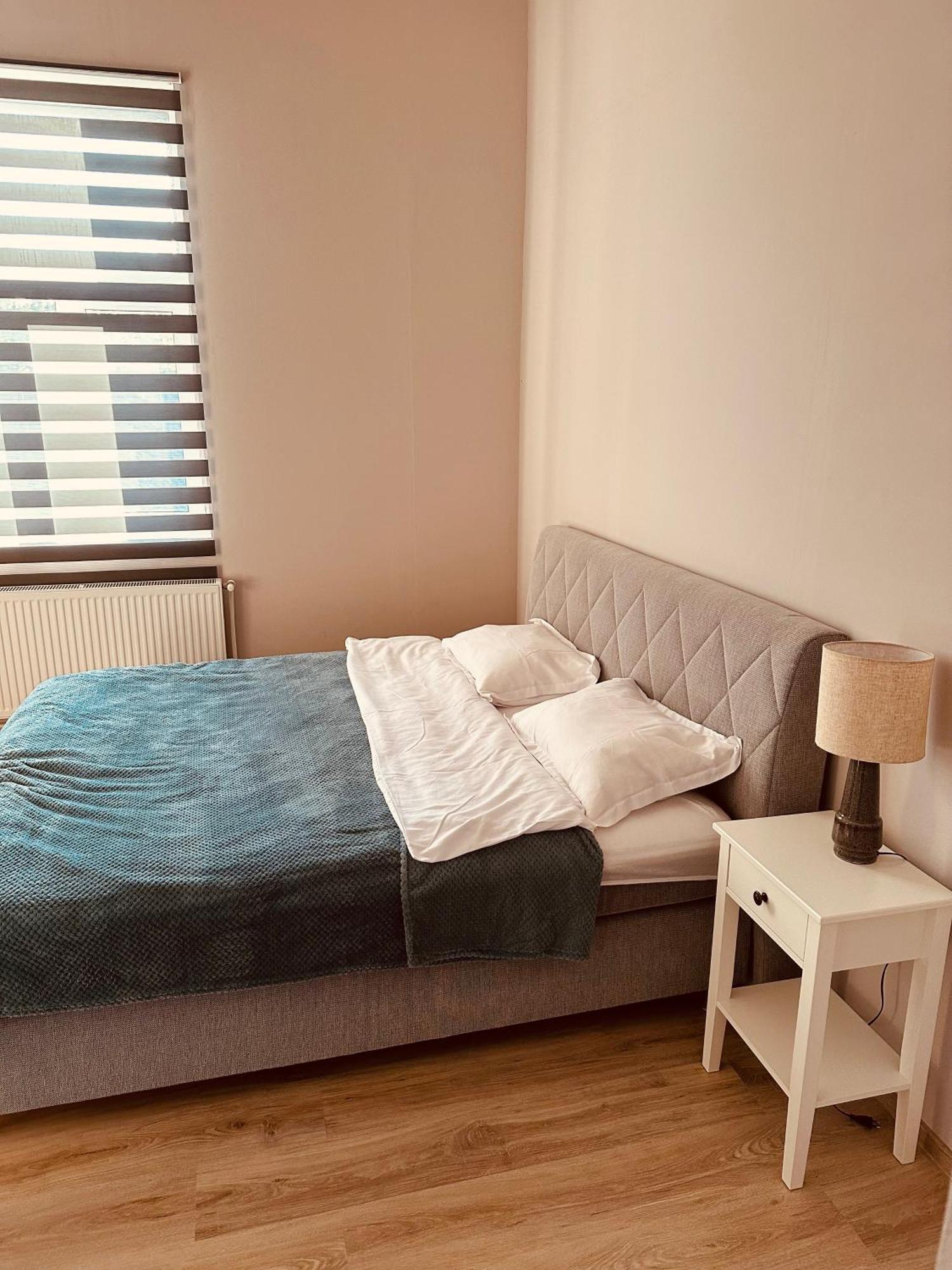 Serbian House Bed & Breakfast Temeşvar Dış mekan fotoğraf