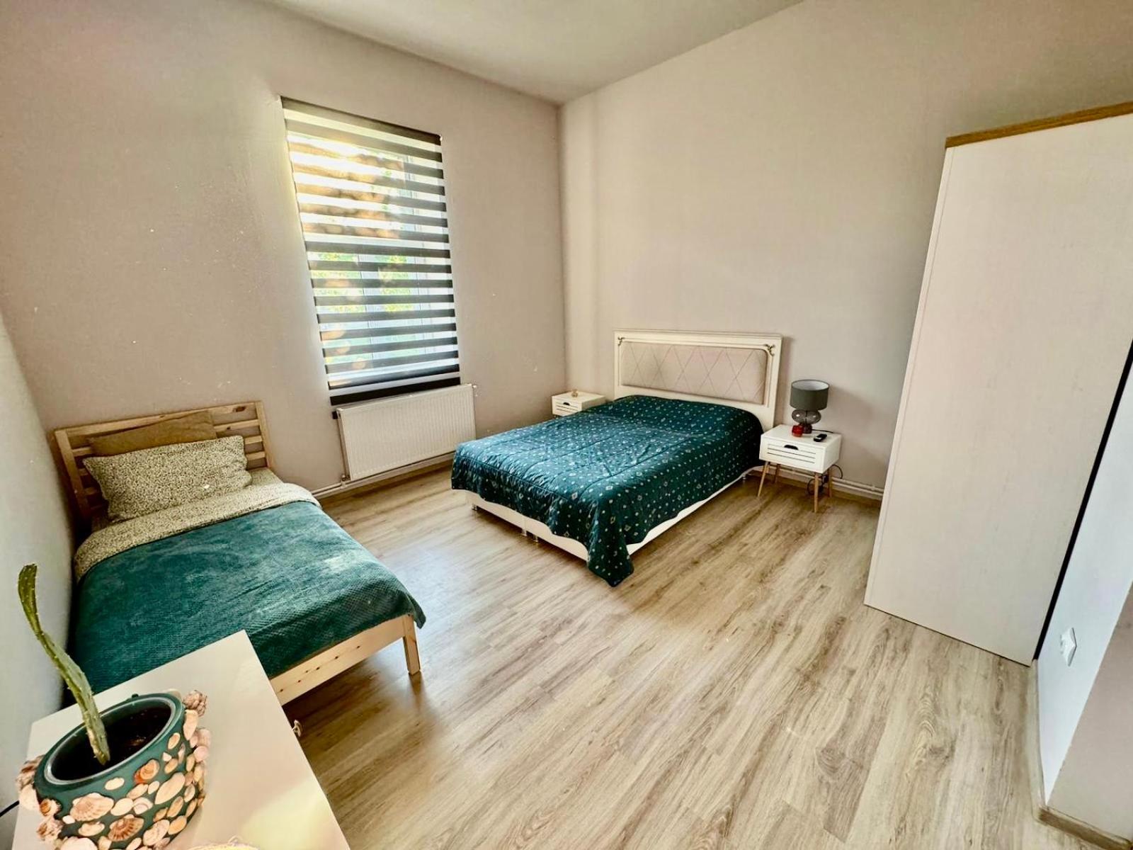 Serbian House Bed & Breakfast Temeşvar Dış mekan fotoğraf