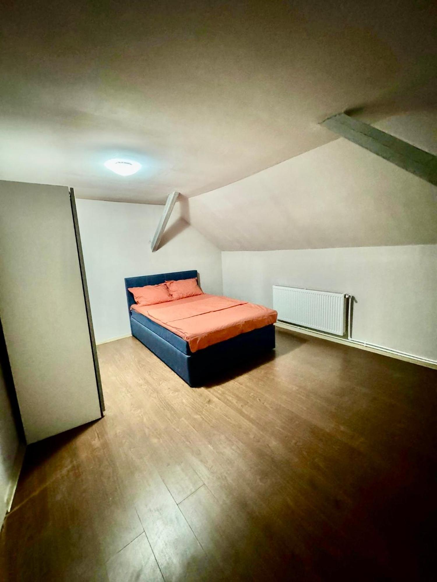 Serbian House Bed & Breakfast Temeşvar Dış mekan fotoğraf