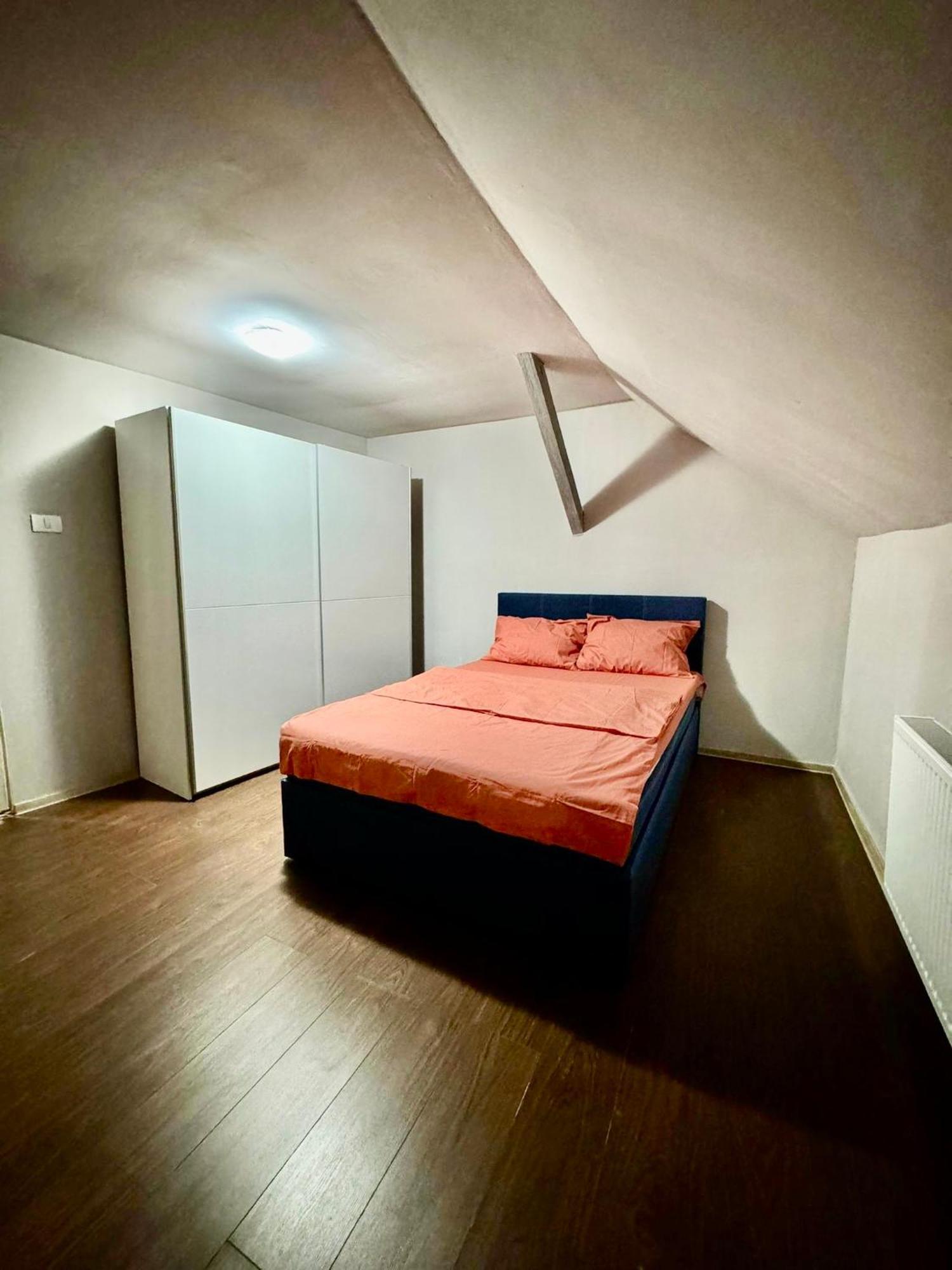 Serbian House Bed & Breakfast Temeşvar Dış mekan fotoğraf