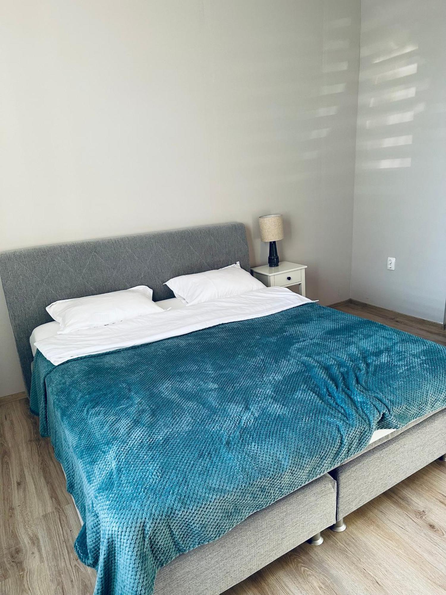 Serbian House Bed & Breakfast Temeşvar Dış mekan fotoğraf