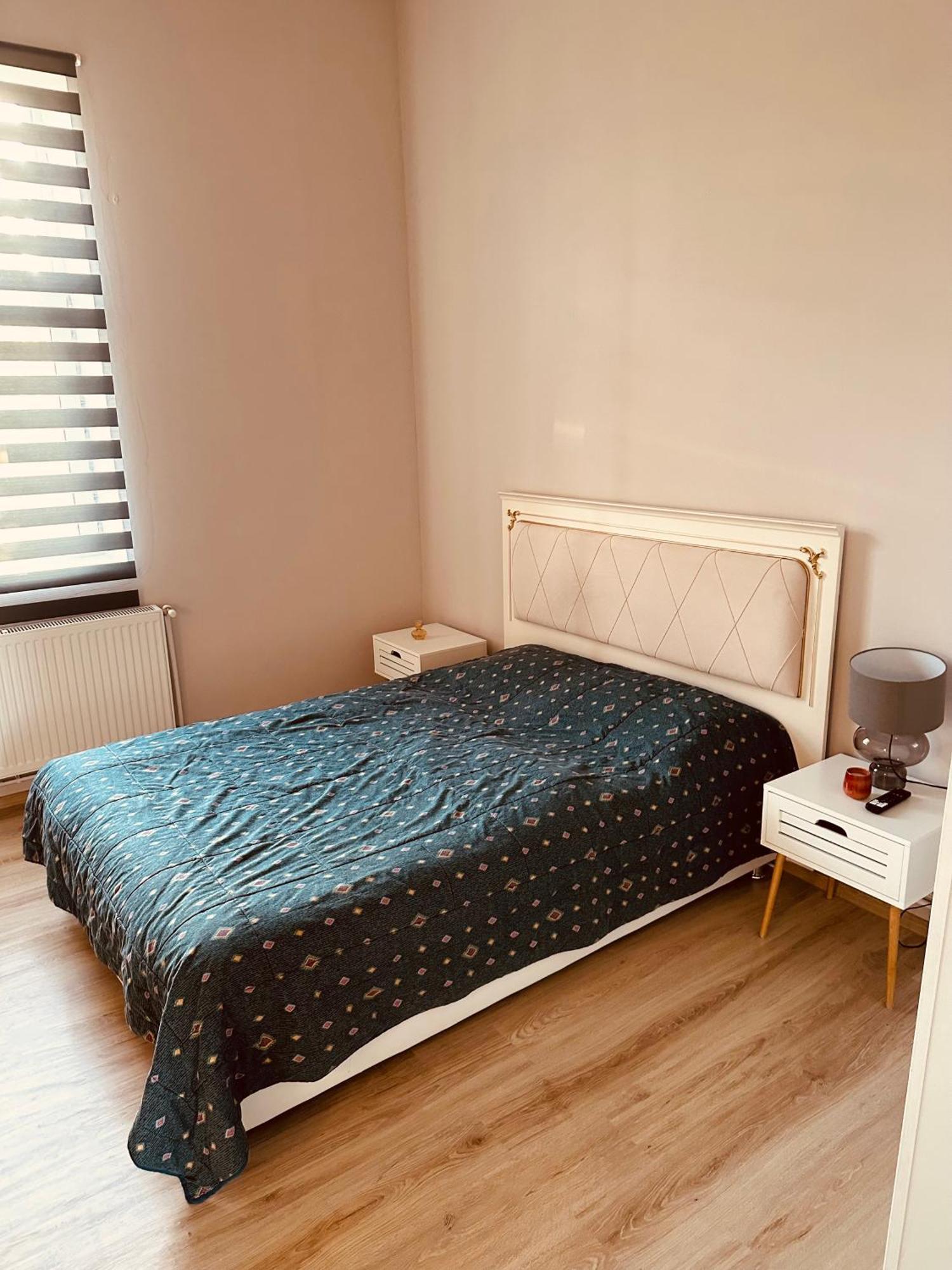 Serbian House Bed & Breakfast Temeşvar Dış mekan fotoğraf