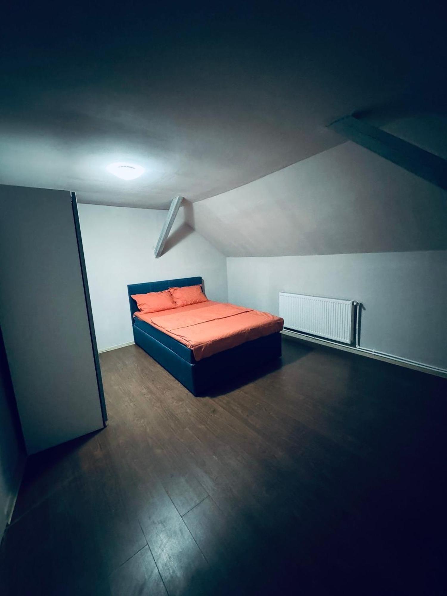 Serbian House Bed & Breakfast Temeşvar Dış mekan fotoğraf