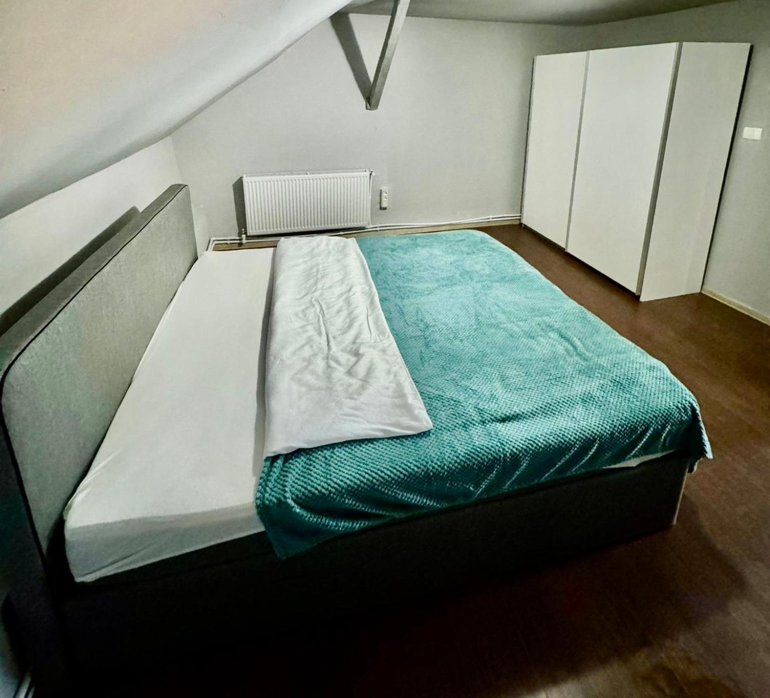 Serbian House Bed & Breakfast Temeşvar Dış mekan fotoğraf